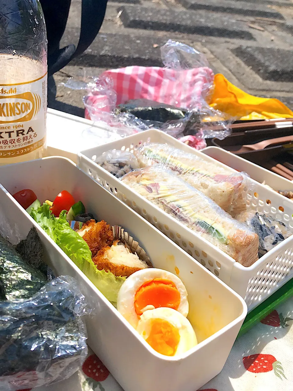 お弁当🍱持参で川沿いをサイクリング|MIEKO 沼澤三永子さん