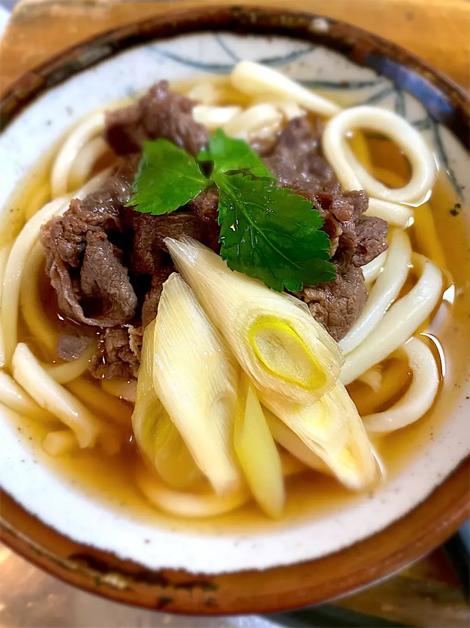 肉うどん|名状しがたいゴミムシのようなものさん