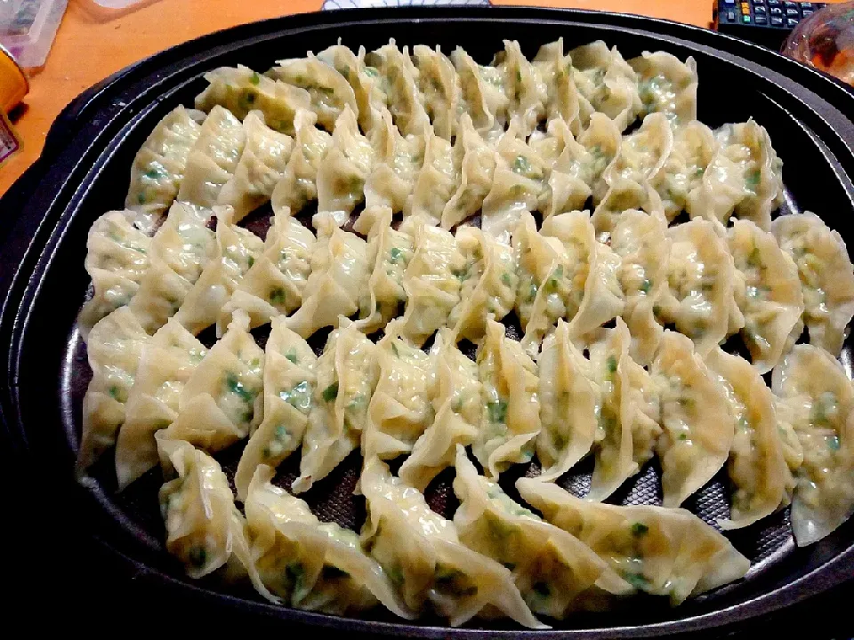 夕飯のパリパリ餃子サイコー♪～(･ε･｡)|おてんとさんさん