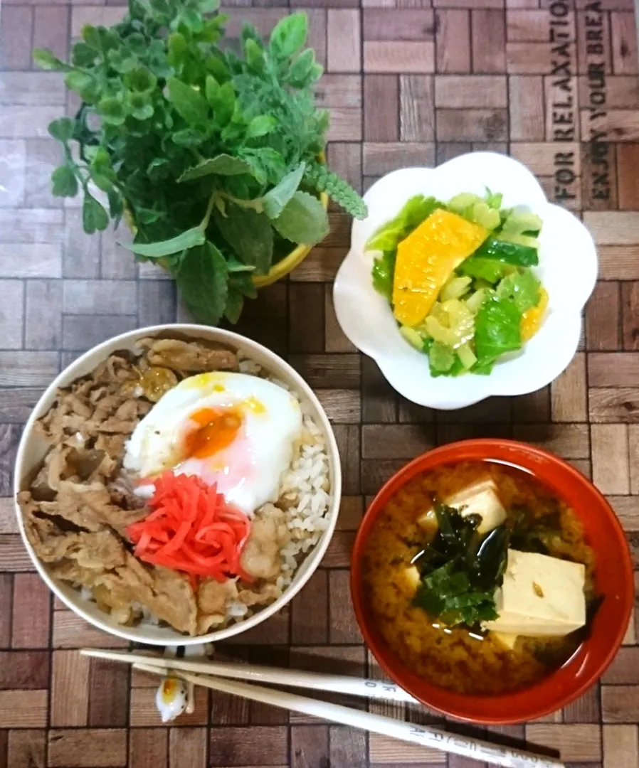 Snapdishの料理写真:吉⚪家風 牛丼😋|fumi ◡̈⋆さん