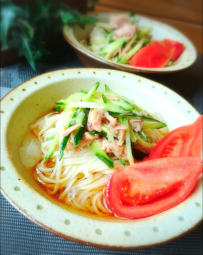 キュウリとツナの冷やし麺|ポコさん