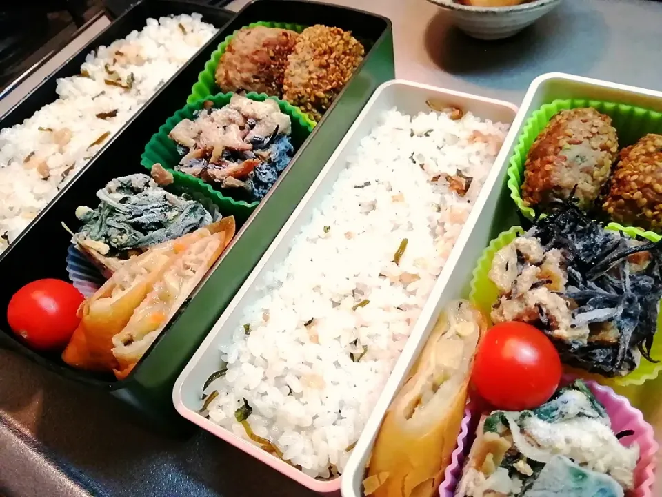 ○胡麻ハンバーグ○春巻○ひじき煮○混ぜご飯|おぞもじさん