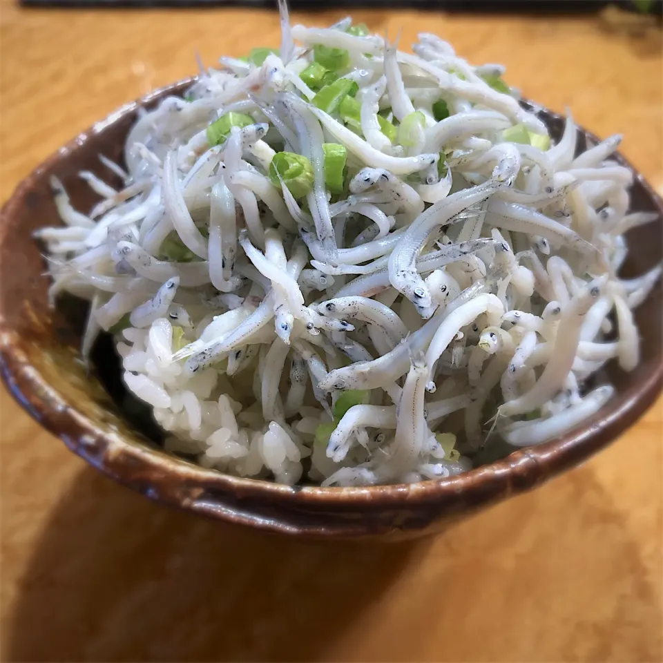 シラスネギ丼　材料3つ！　ネギ　シラス　ご飯🤣|佐野未起さん