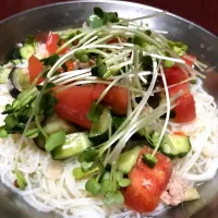 彩り野菜の鶏だしそうめん|長々さん