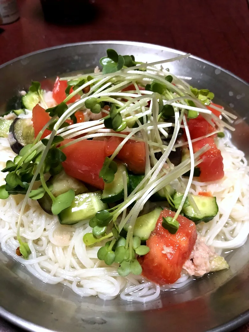 彩り野菜の鶏だしそうめん|長々さん