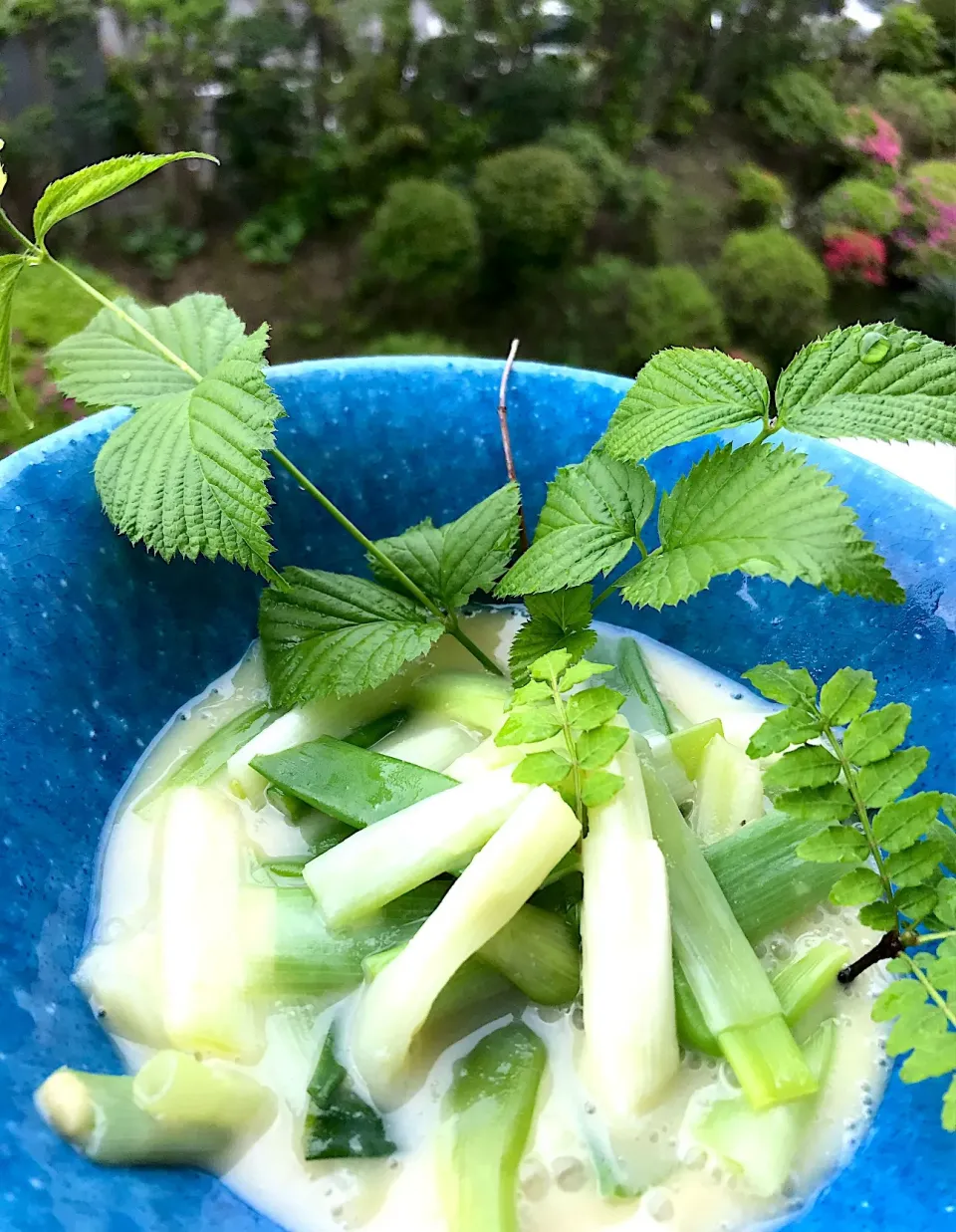 ウドの酢味噌和え|シュトママさん