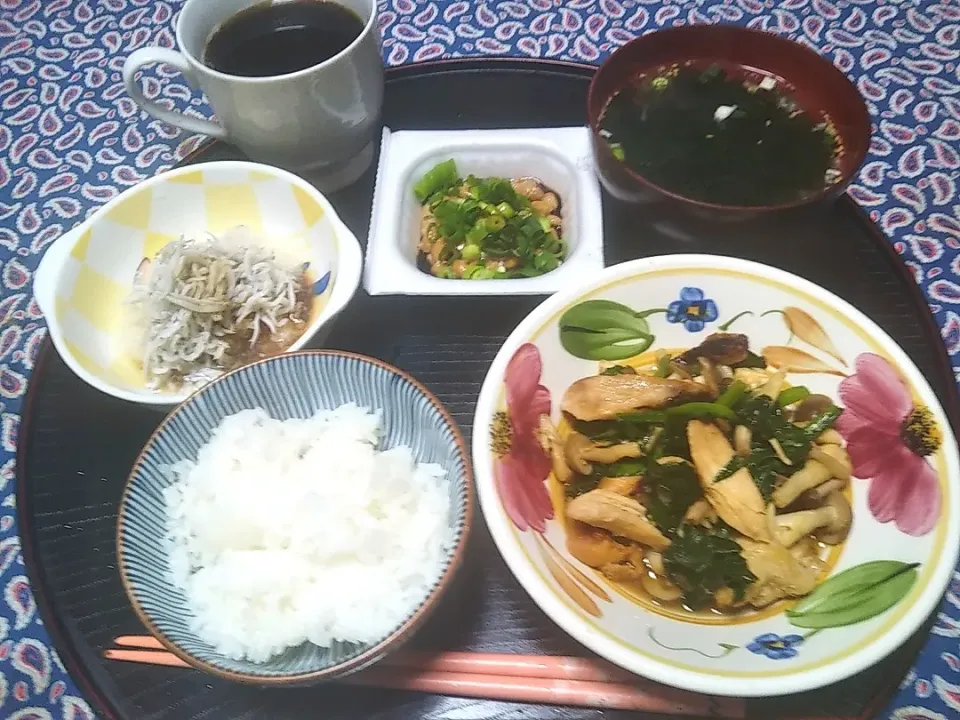 Snapdishの料理写真:よねばーばの朝ごはん
鶏肉とほうれん草、しめじの炒め物
若芽スープ
納豆
おろし大根とちりめんじゃこのポン酢和え
ご飯、コーヒー|yoneばーばさん