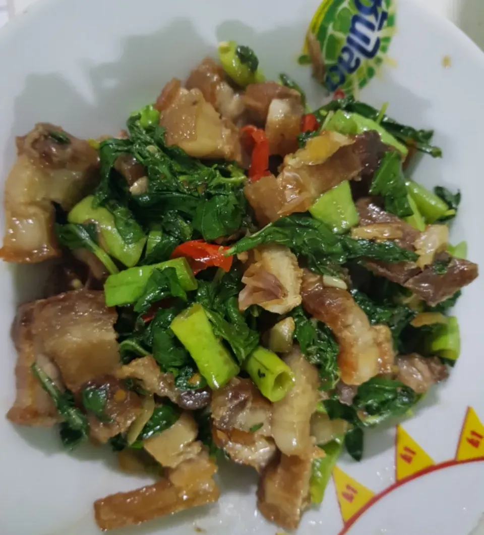 Snapdishの料理写真:stir fry crispy pork with basil leaves|patcookingfeverパットさん