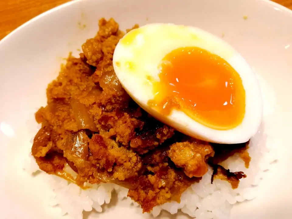 高野豆腐でキーマカレー風|pigmegさん