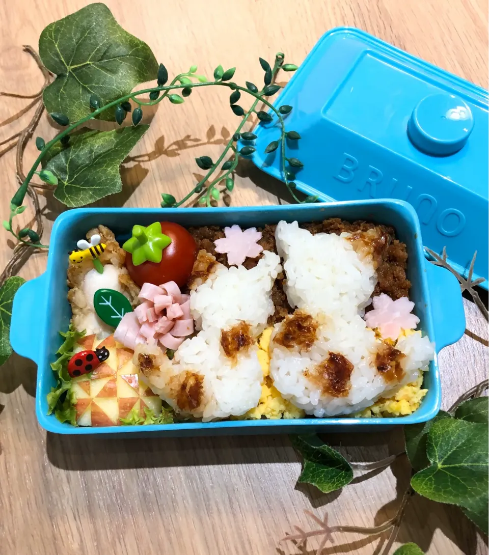 Snapdishの料理写真:猫ちゃんのお花見🌸弁当|tsumuchiさん