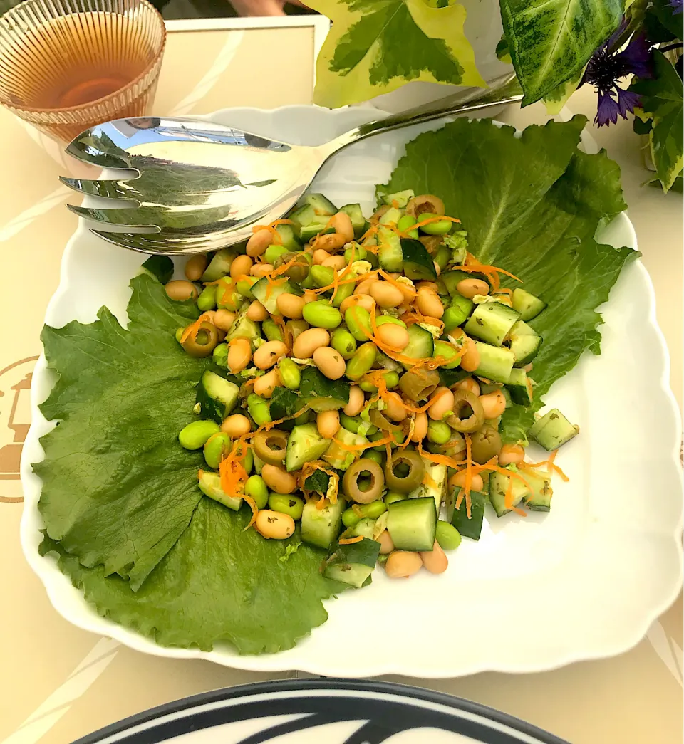 Snapdishの料理写真:Easy And Fresh Bean Salad 🥗|Iggywiggyさん