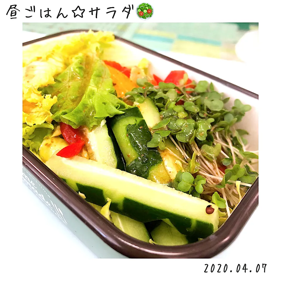 パパ作お弁当🍱|🍀Nogumama🍀さん