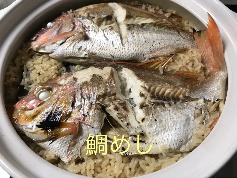 気分だけでも鯛めし〰🐟🐟🐟最高‼️|noeさん