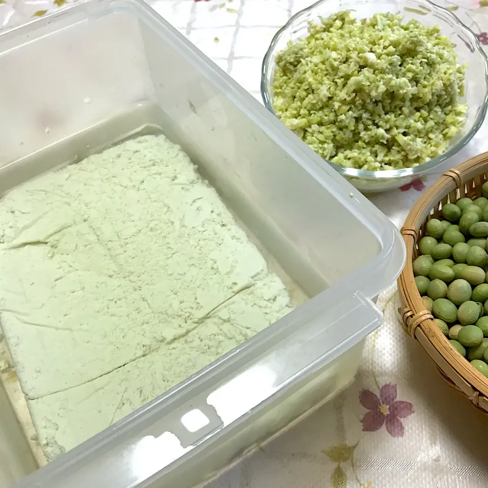 自家製青バタ豆の豆腐|つるひめさん