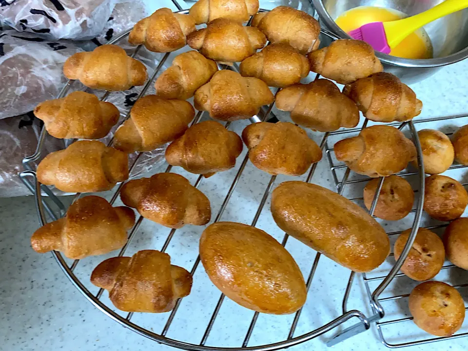 ワンコパンが焼き上がりました☺️|おもちママさん