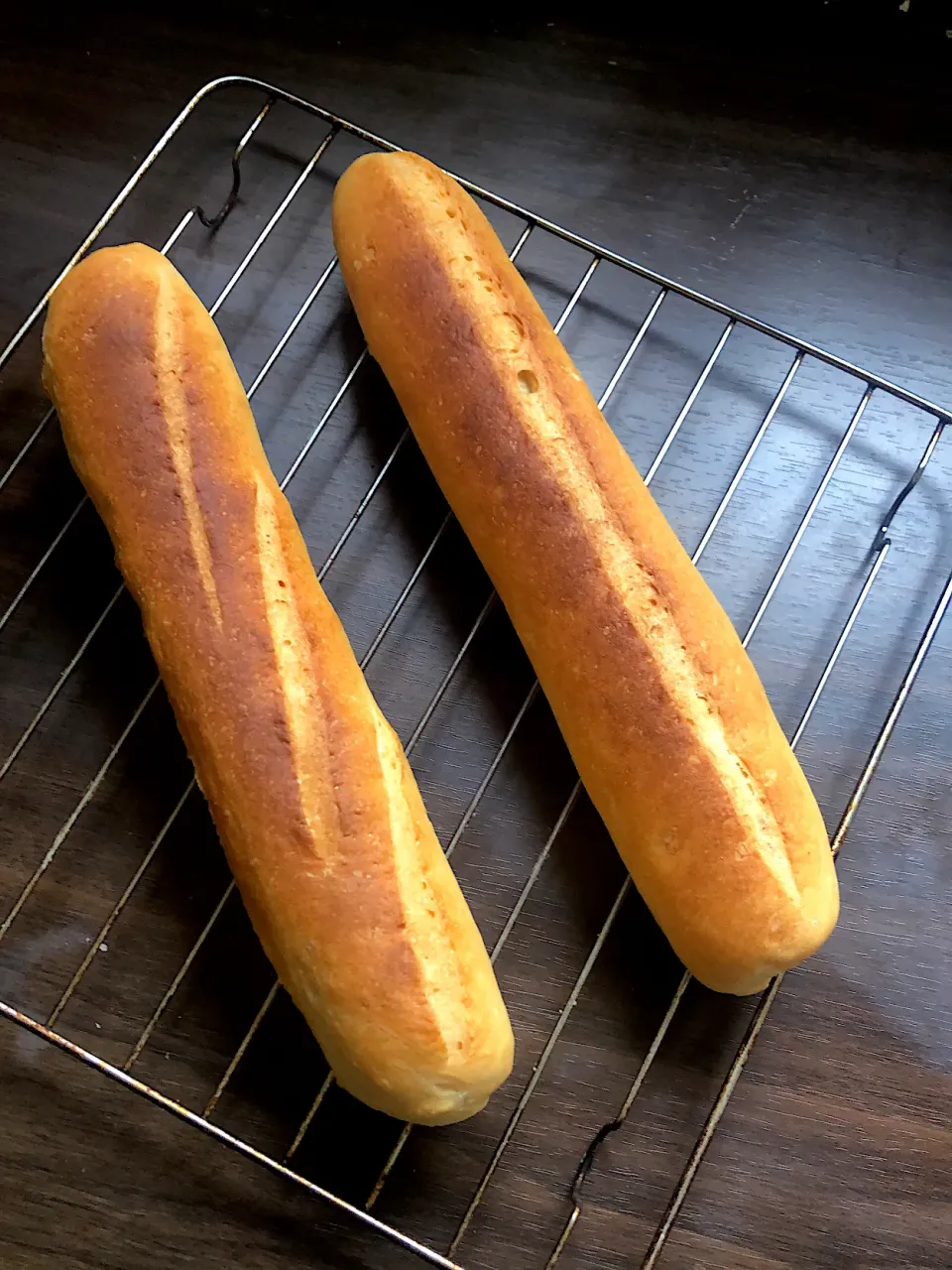 バゲット🥖🥖🥖|ゴンさん