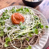 Snapdishの料理写真:しらすと梅のお蕎麦|さへさん