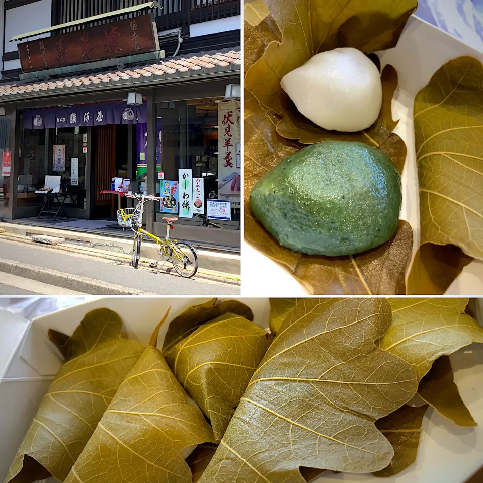 駿河屋　柏餅（つぶあん、こしあん）|Hiro Yanさん