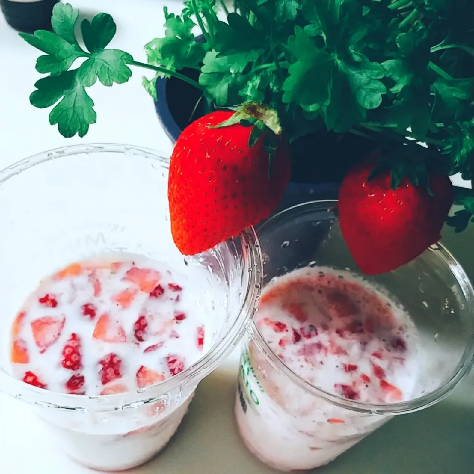 Snapdishの料理写真:苺みるく🍓|ファンメイ🌺さん