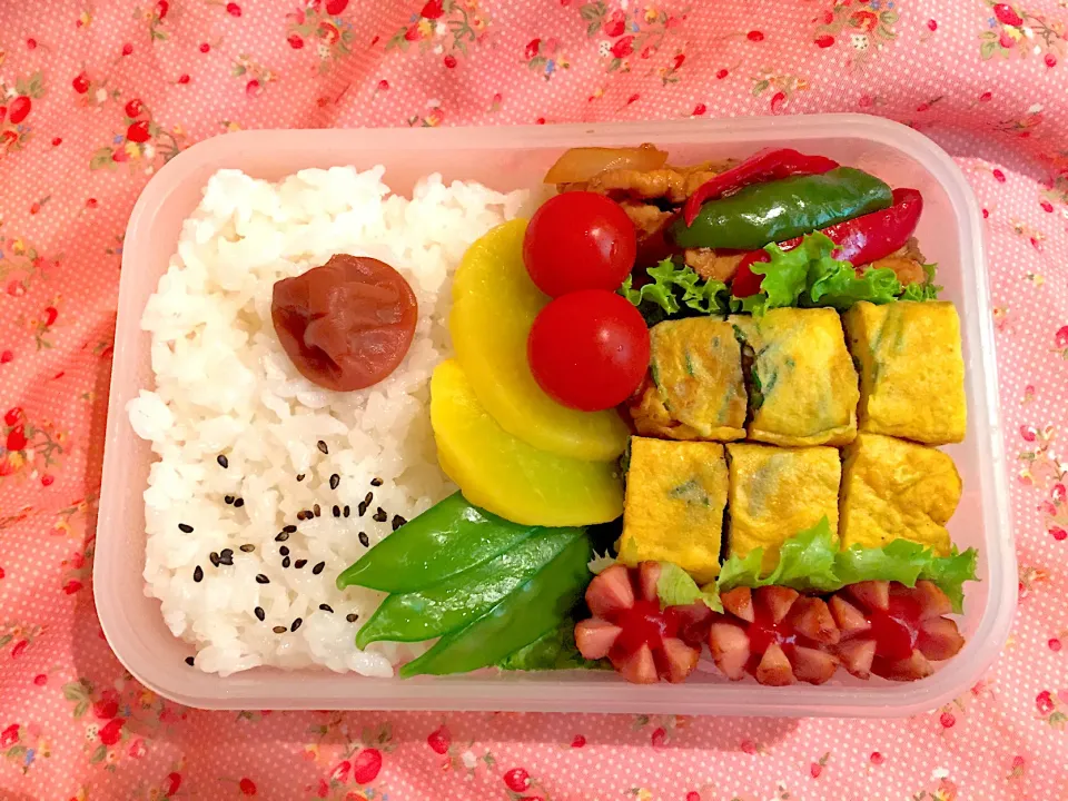 旦那のお弁当🍱2020/05/07|Kodomo Cookingさん