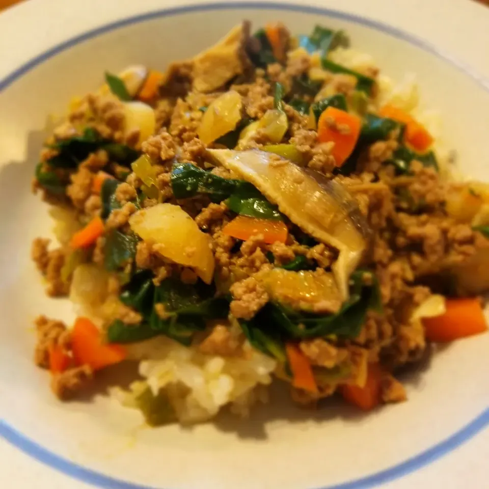 牛ひき肉と野菜のピリ辛炒め、玄米と共に
Stir fried beef and vegetables over brown rice|Nikki Gさん