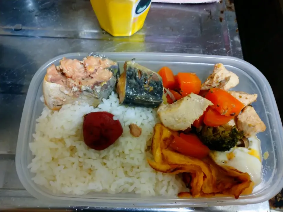 お弁当|to-manさん