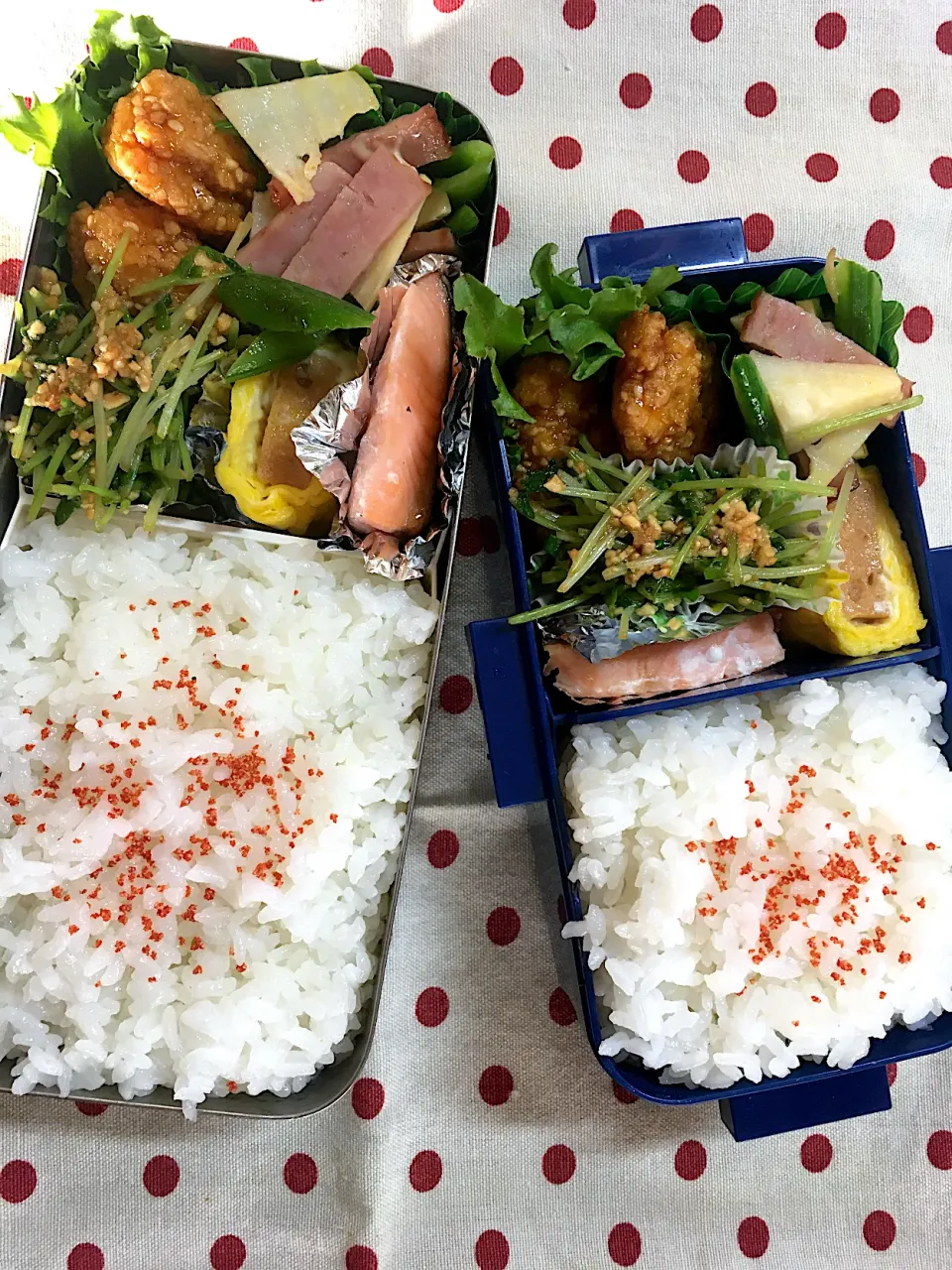 Snapdishの料理写真:5月7日　久々弁当🍱|sakuramochiさん