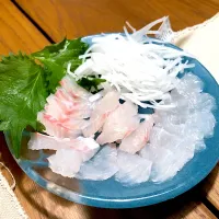 Snapdishの料理写真:石鯛のお刺身|竹内大樹さん