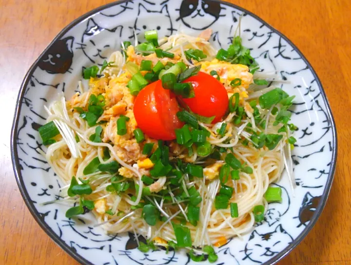 Snapdishの料理写真:５月２日　ツナたまそうめん|いもこ。さん