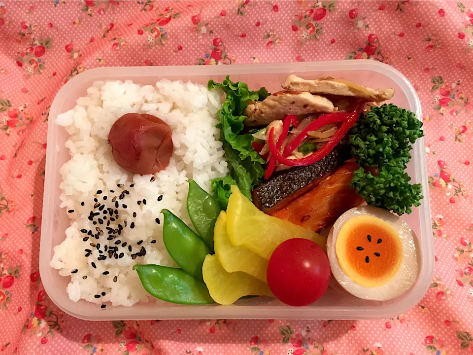 旦那のお弁当🍱2020/05/08|Kodomo Cookingさん