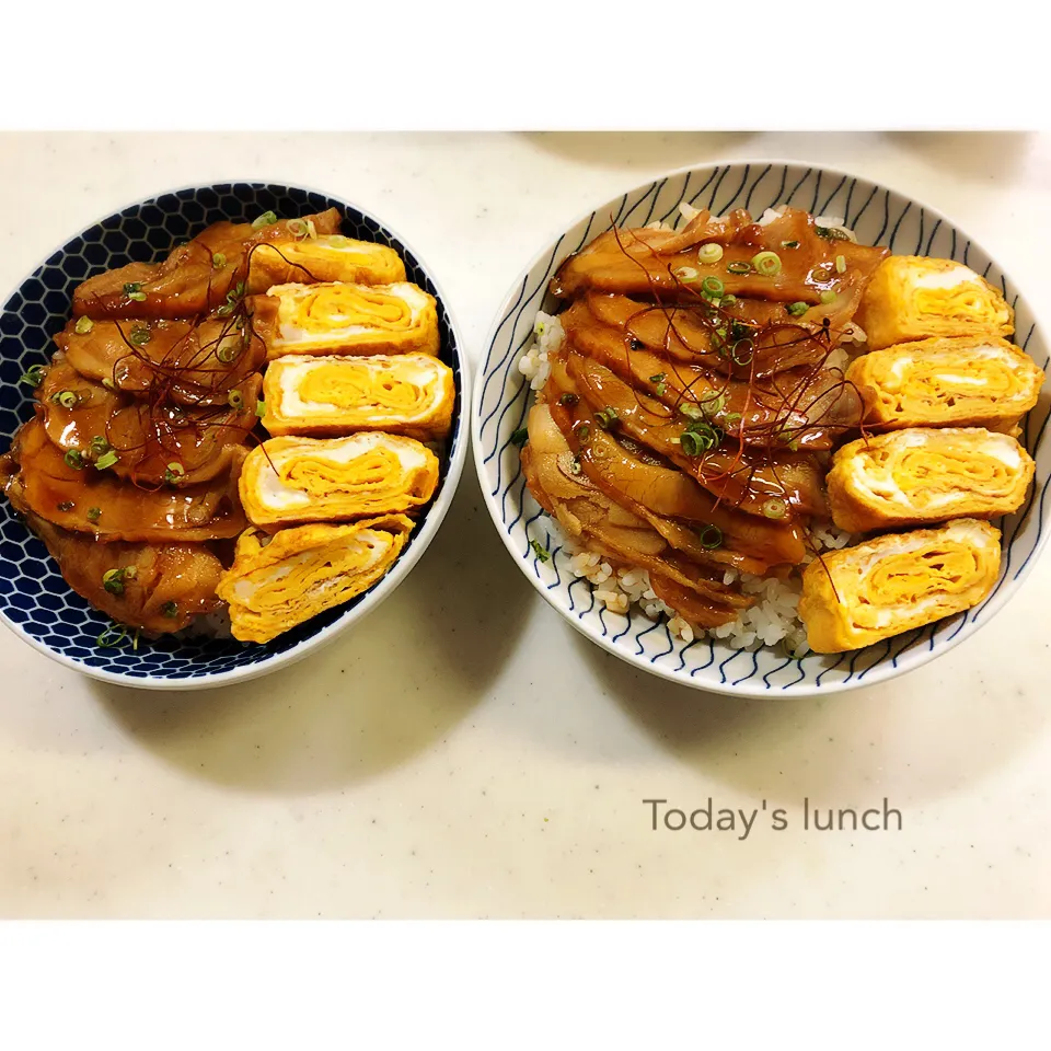 本日の昼ごはん。|aki_puさん