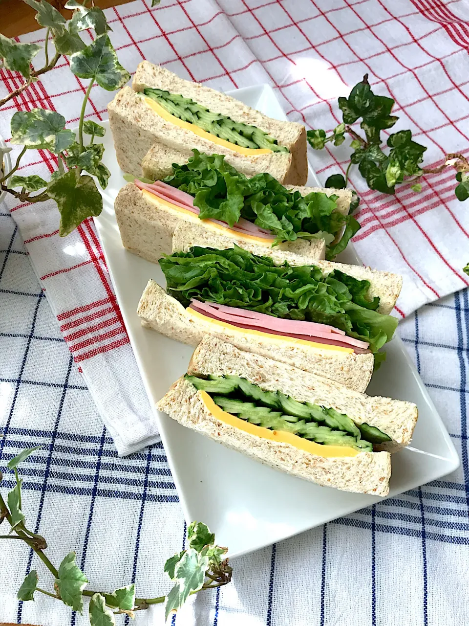 🥪あぁ〜っ💦外はお天気☀️ピクニックに行きたくなるね💦今日は私の母の味　きゅうり🥒チーズ🧀サンドとハムチーレタスサンド🥪|Hollyさん