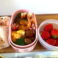 Snapdishの料理写真:お弁当|たっちさん