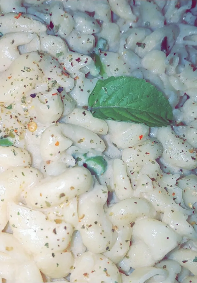 àbhi's dish créamy whité mozeralla pasta #|àbhiさん