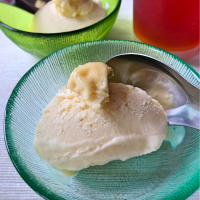 超濃厚ドリアンアイス〔durian icecream〕