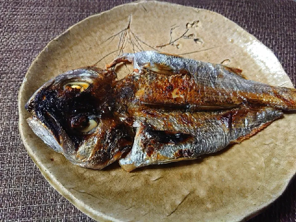 Snapdishの料理写真:ノドグロの一夜干し🐟|no-noさん