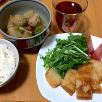 Snapdishの料理写真:✿白身魚の竜田揚げ
✿肉団子と大根のあっさり炊き|miya( ¨̮ )さん