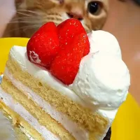 甘い香りに誘われて😻
小松マルフジさんの🍓ケーキ