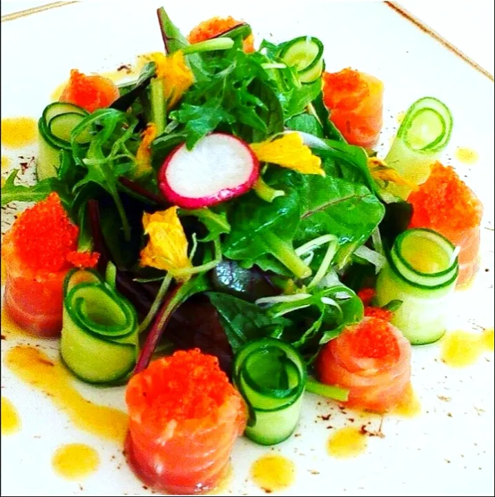 Citrus cured altantic trout/mesculin leaves/citrus dressing|Bipinさん