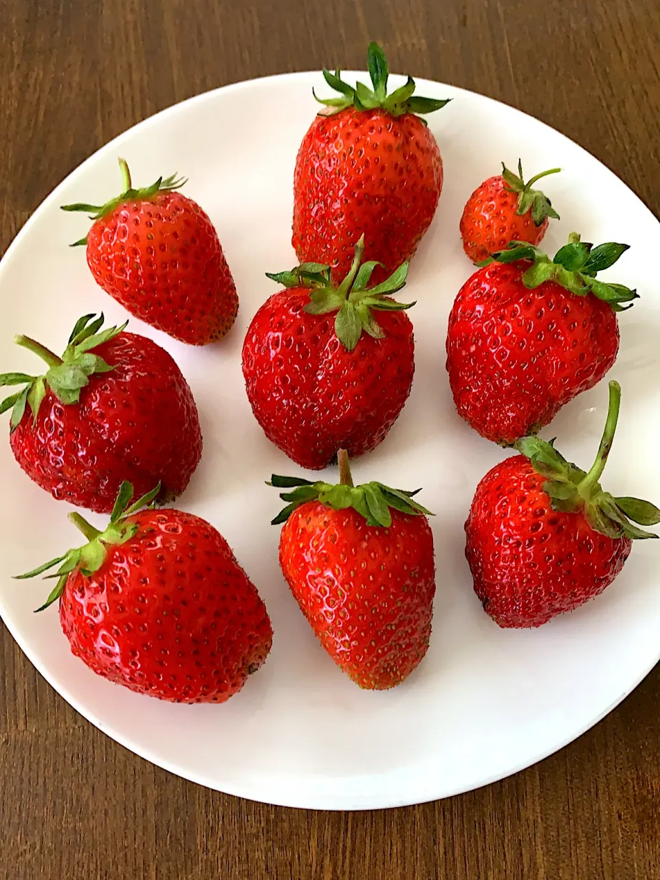 今日の家庭菜園🍓の収穫😊|ゆうみん（4人の母ちゃん）さん