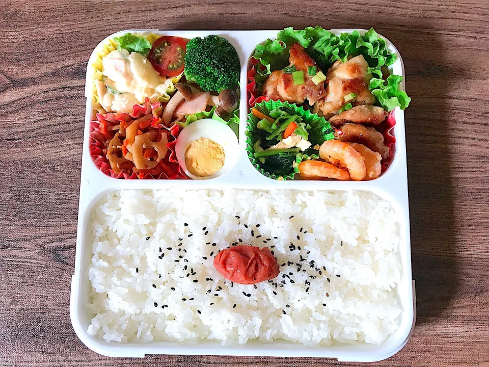 5/11今日のお弁当|harutomomariさん