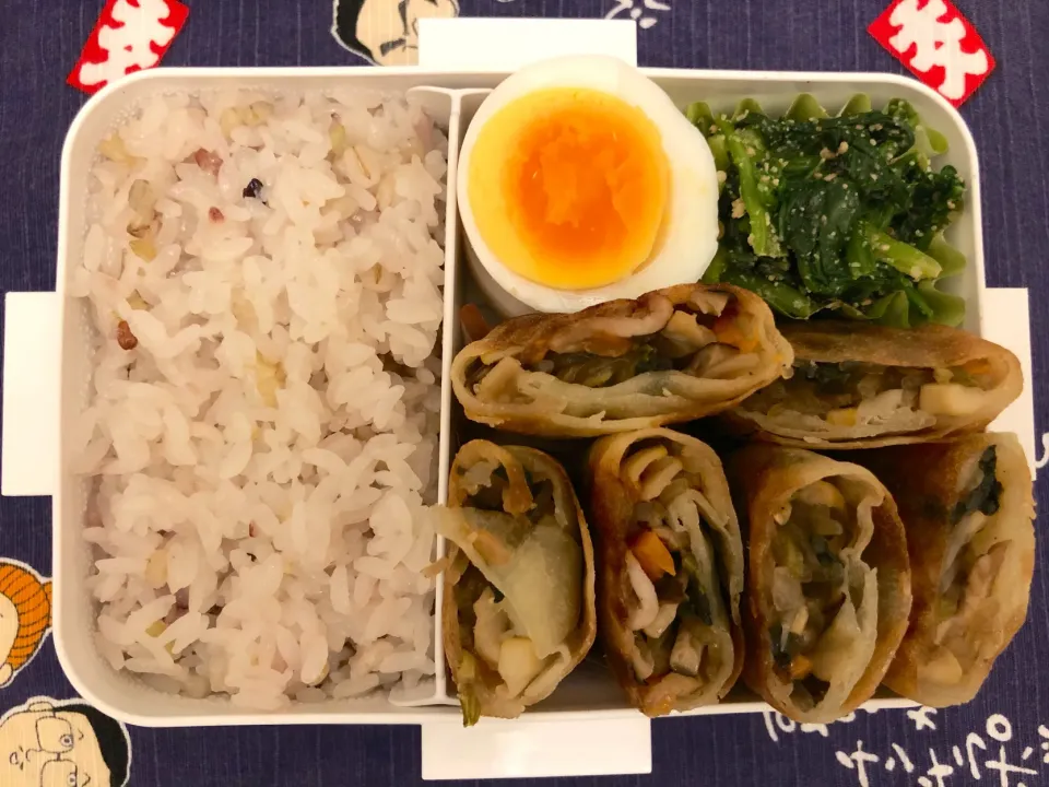 Snapdishの料理写真:春巻弁当|freeさん