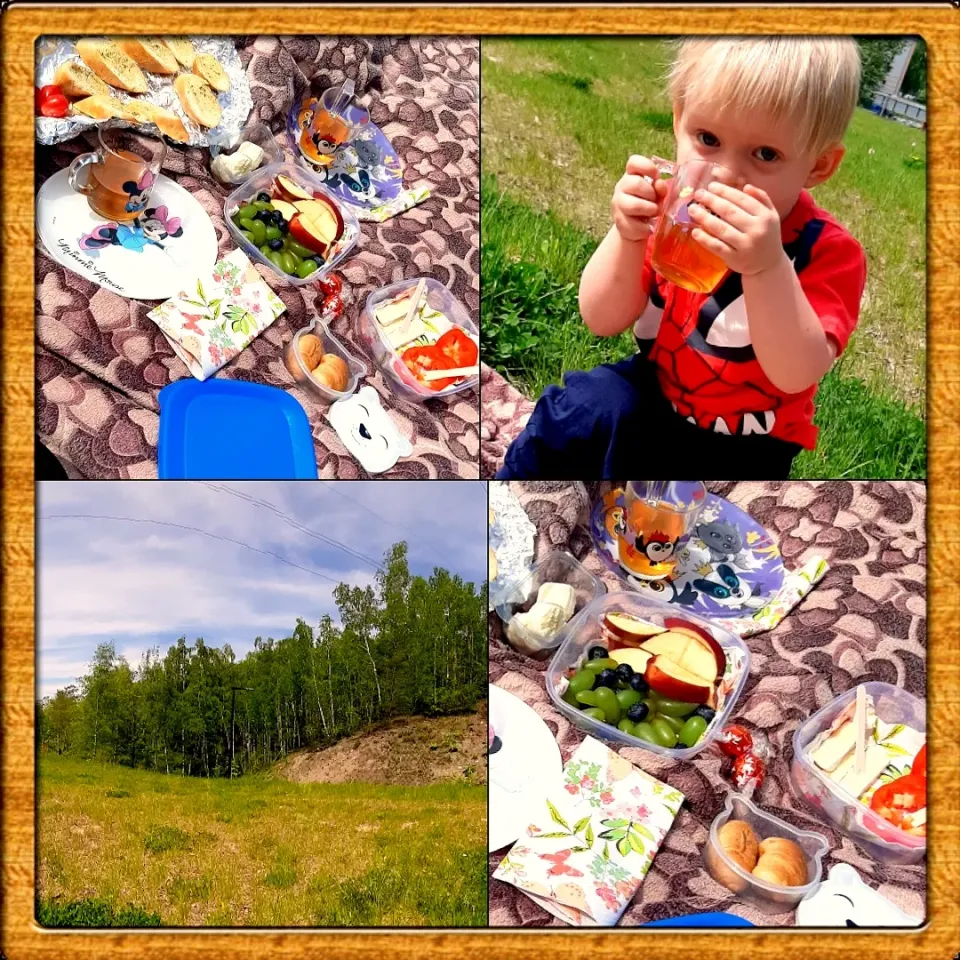 Picnic with the best men in the whole world! ❤|Momoさん