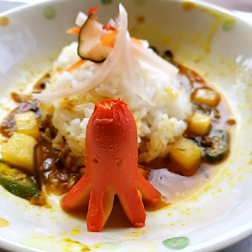 オクラと大根のポークキーマカレーinタコさんウインナー🐙|ふじわらたくやさん