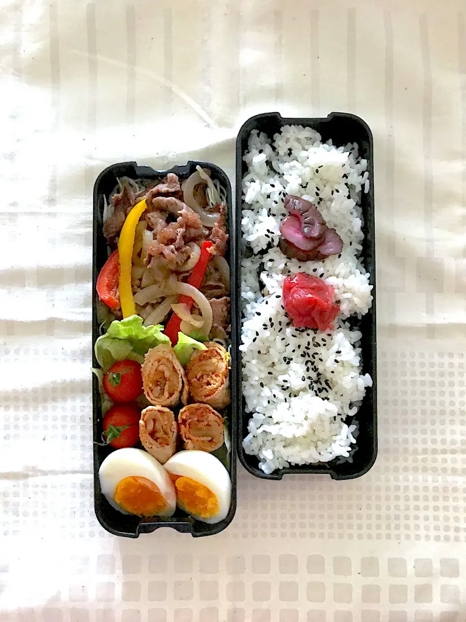 Snapdishの料理写真:息子お弁当　牛肉野菜炒め　豚野菜巻き|sonokoさん