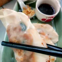 Snapdishの料理写真:Yummy Gyoza|Wipaweeさん