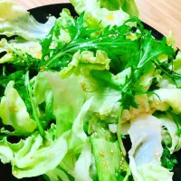 Snapdishの料理写真:チョレギサラダ🥗|milkさん