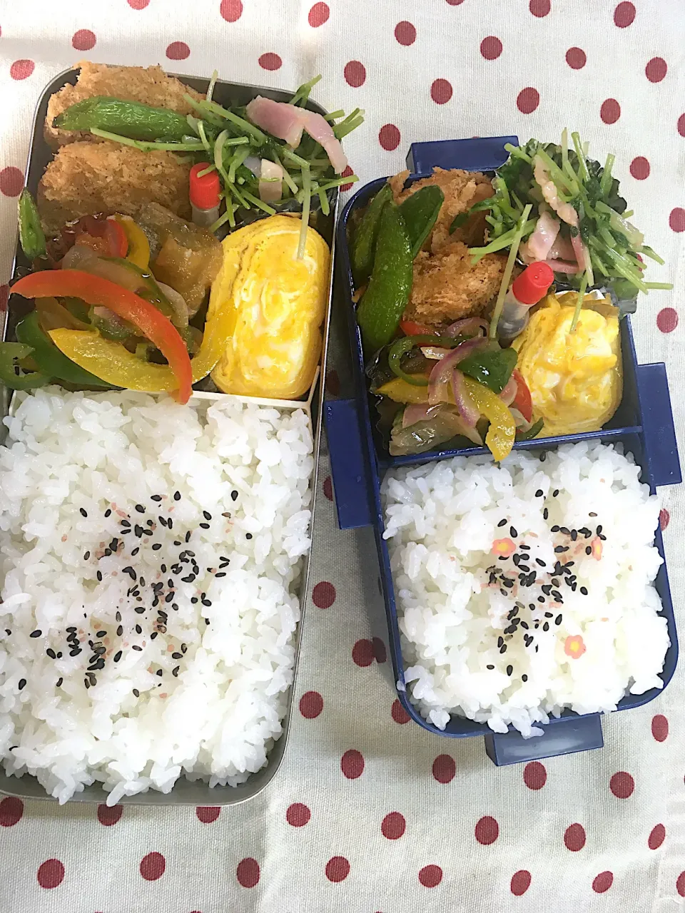 5月13日　今日も快晴弁当🍱|sakuramochiさん