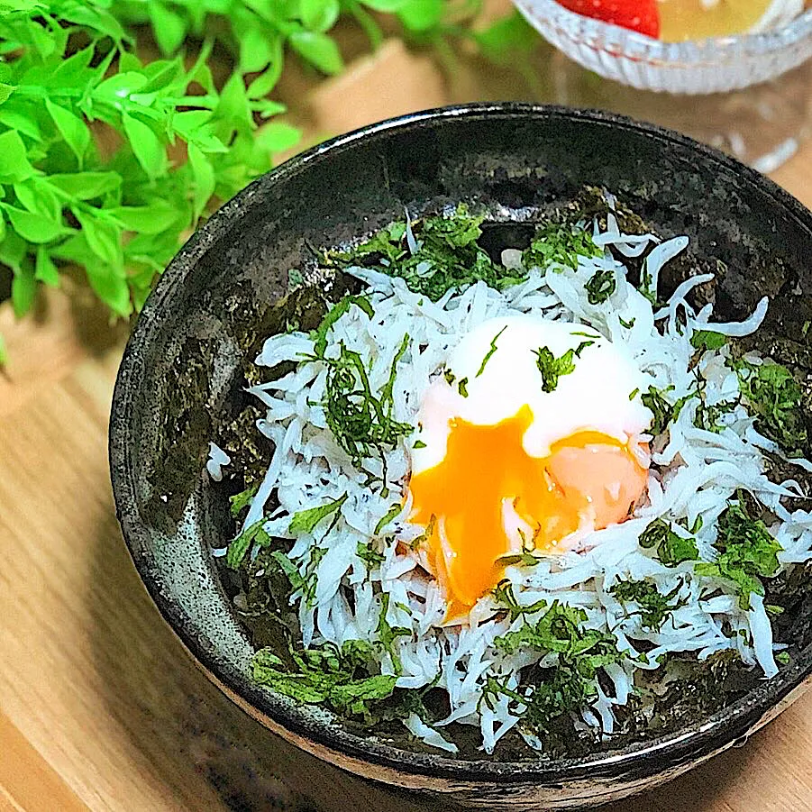 旨とろしらす丼🤤|かなこ🌼さん