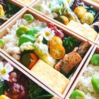 春のお弁当